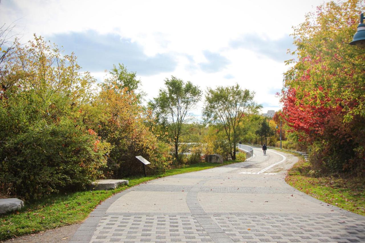 Condo In Parklawn & Lake Shore With Free Parking Close To Airport Toronto Exteriör bild